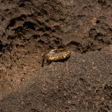 Load image into Gallery viewer, Strata I Ring - Gold 18k - Limited Edition