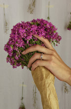 Load image into Gallery viewer, Nadia Ring - rubies - Silver 925